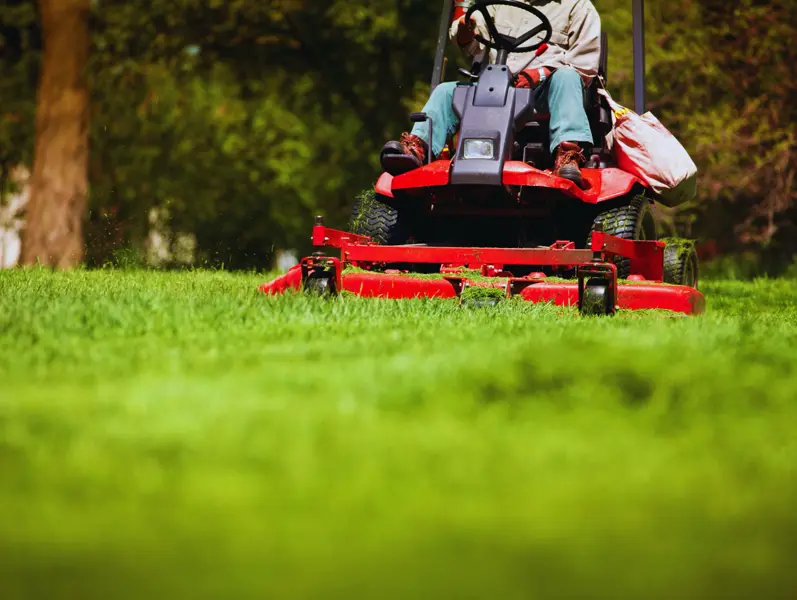 Freshly mowed lawn with clean stripes