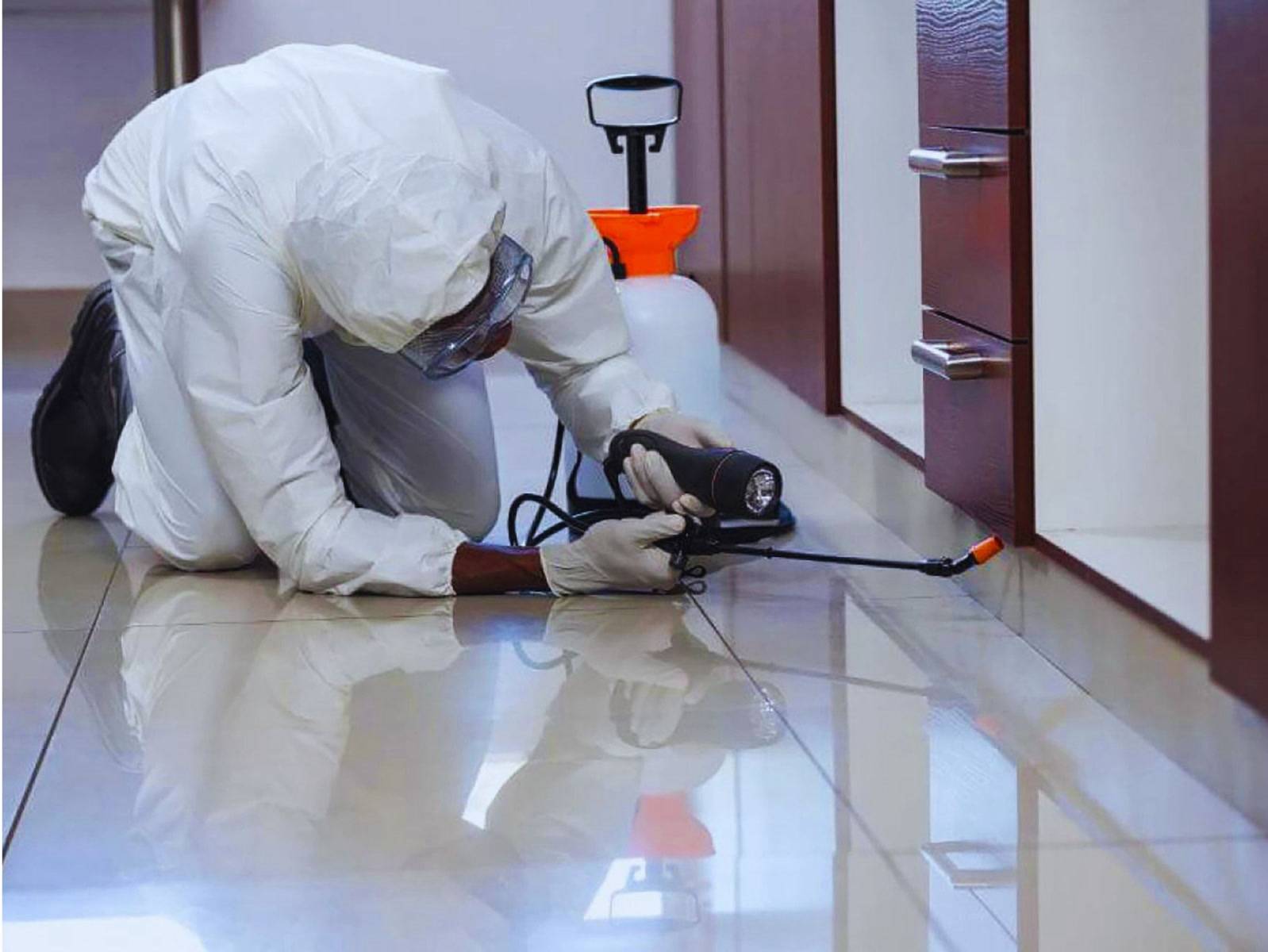 Pest Control