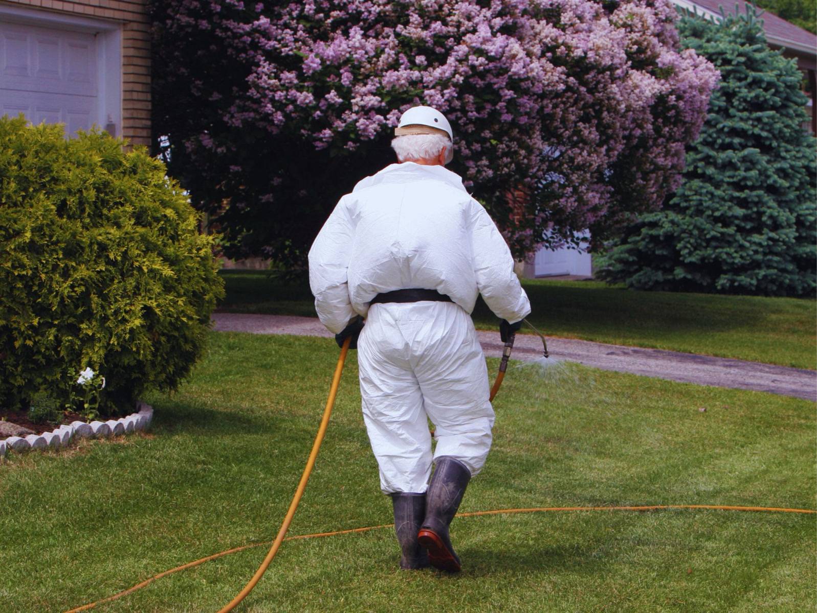 Turf Management